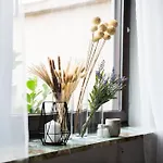 Zentrale 
